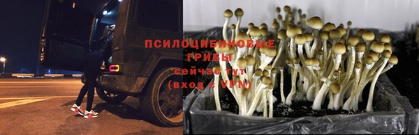 MDMA Premium VHQ Бронницы