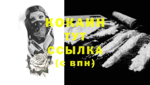гидра Володарск