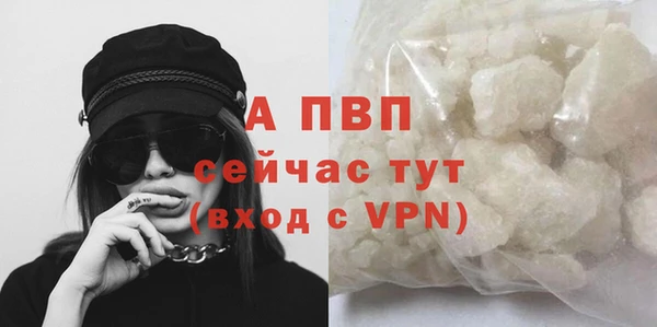 соль курить ск Богданович