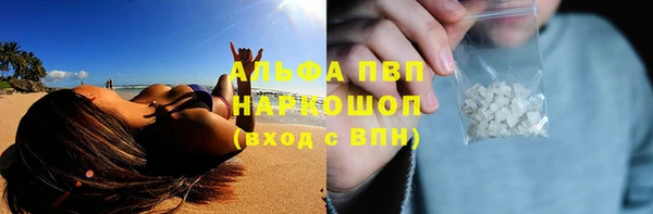 спайс Бородино