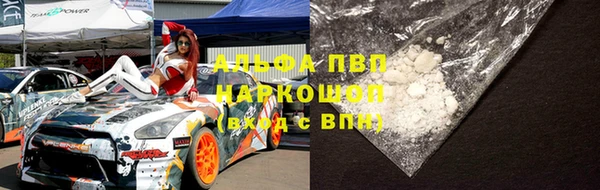 гидра Володарск