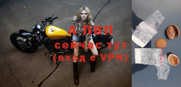 спайс Бородино