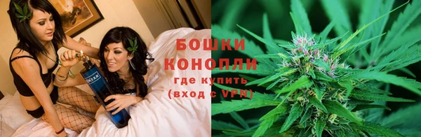 спайс Бородино